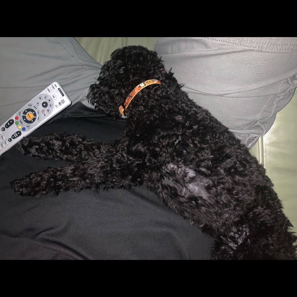 Meet your Posher, Lydia